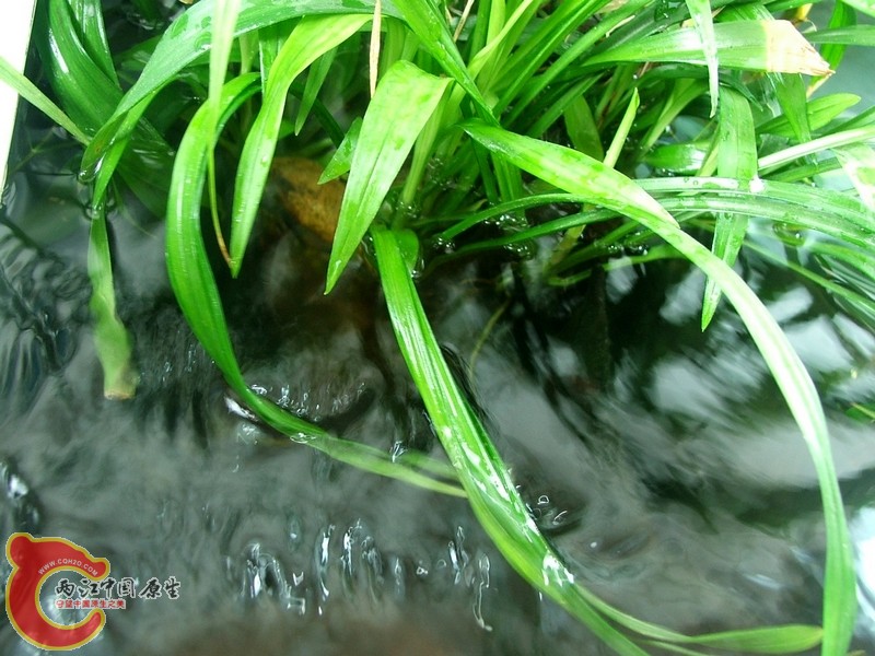 DSCF3064.jpg