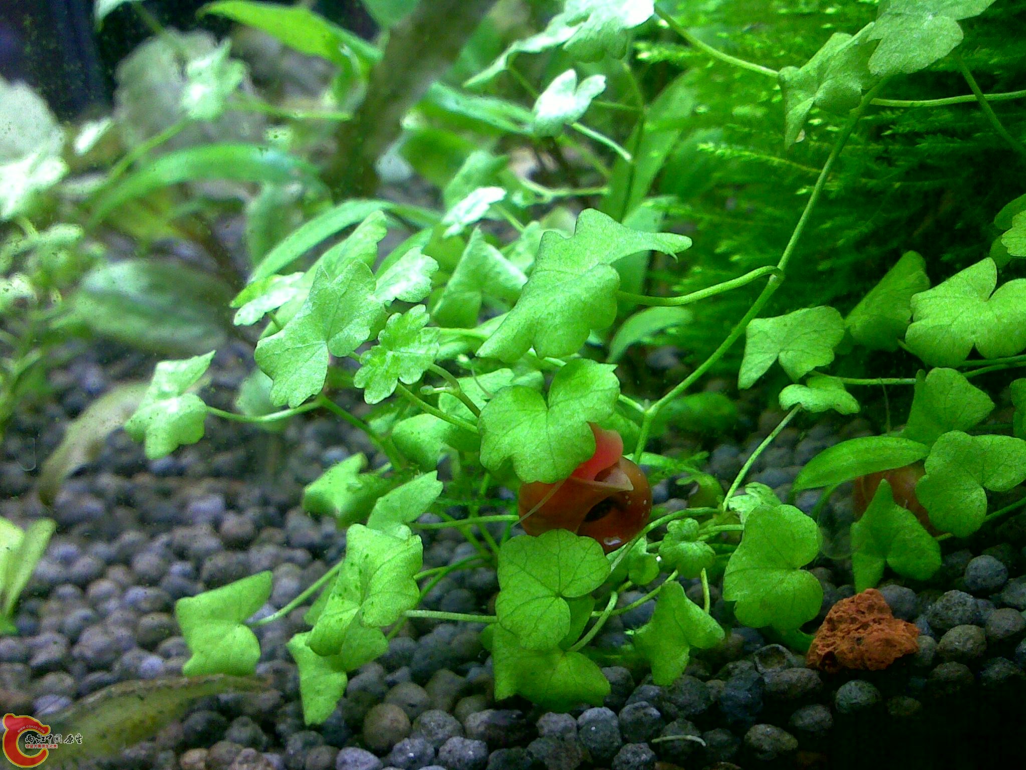 03062012022.jpg