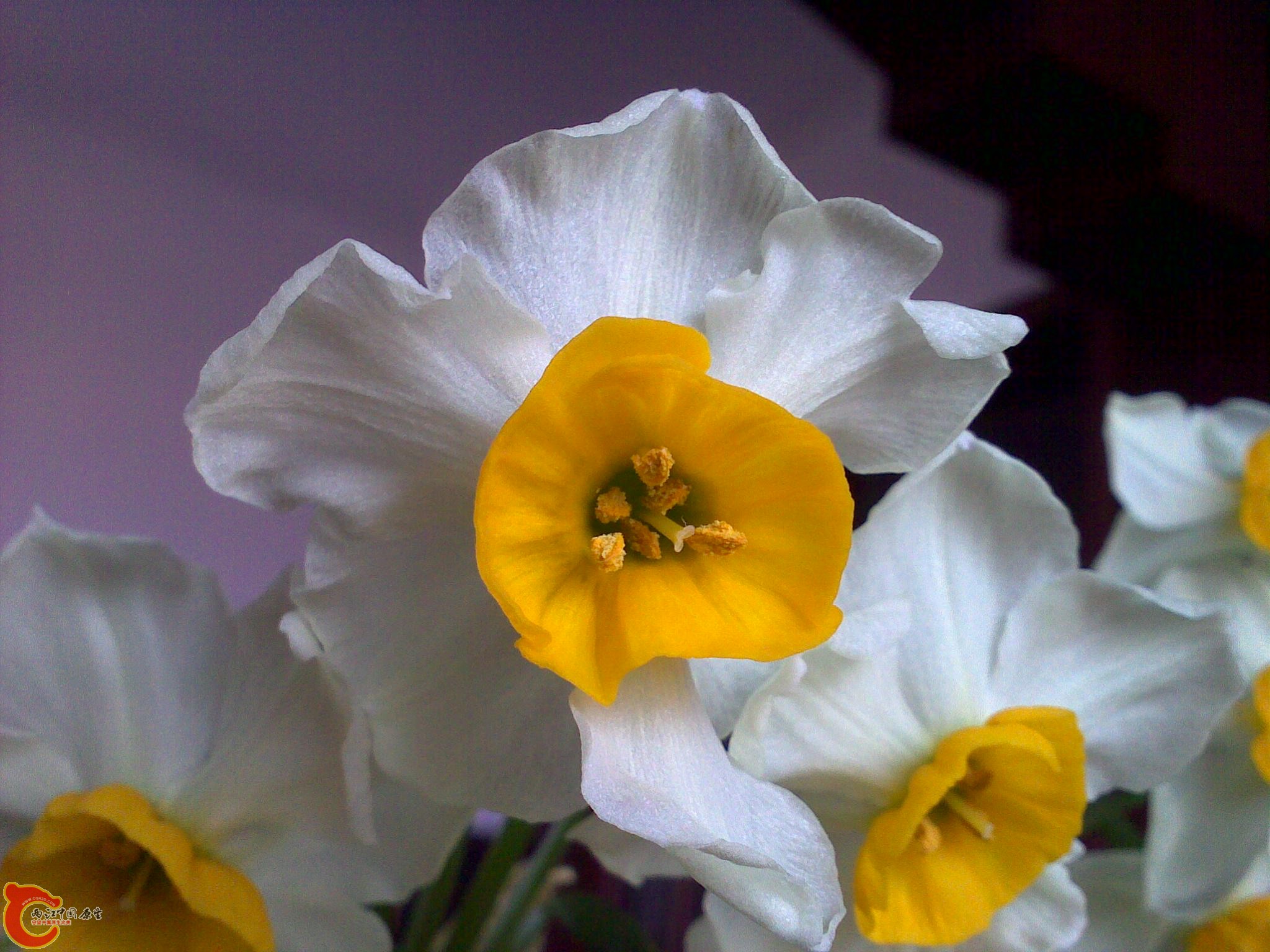 03102012040.jpg