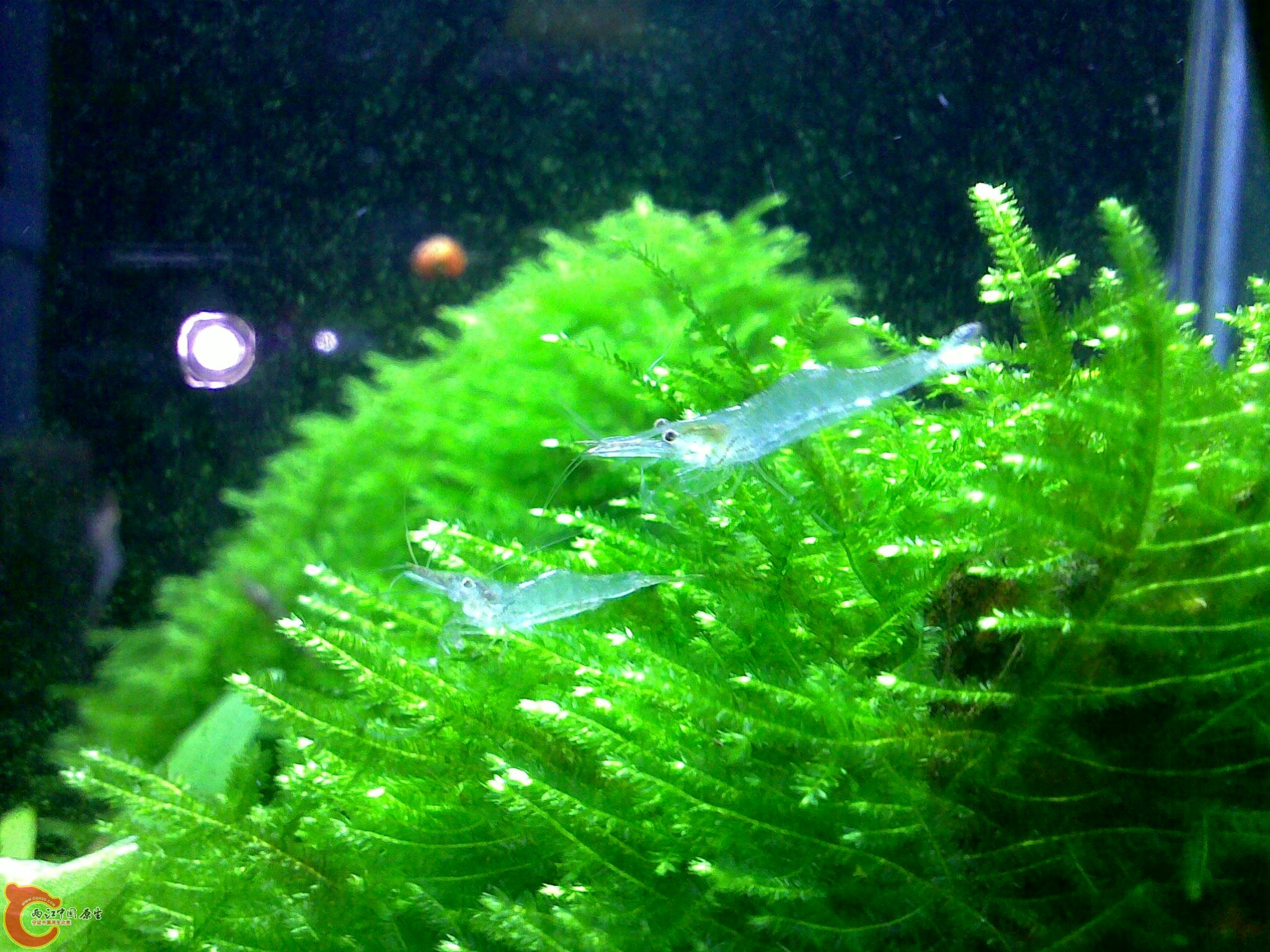 03232012065.jpg