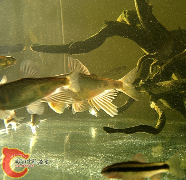 宽 2.jpg