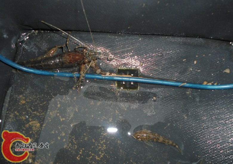 K5OD2N~DAORS(5JMHUMJ$$P.jpg