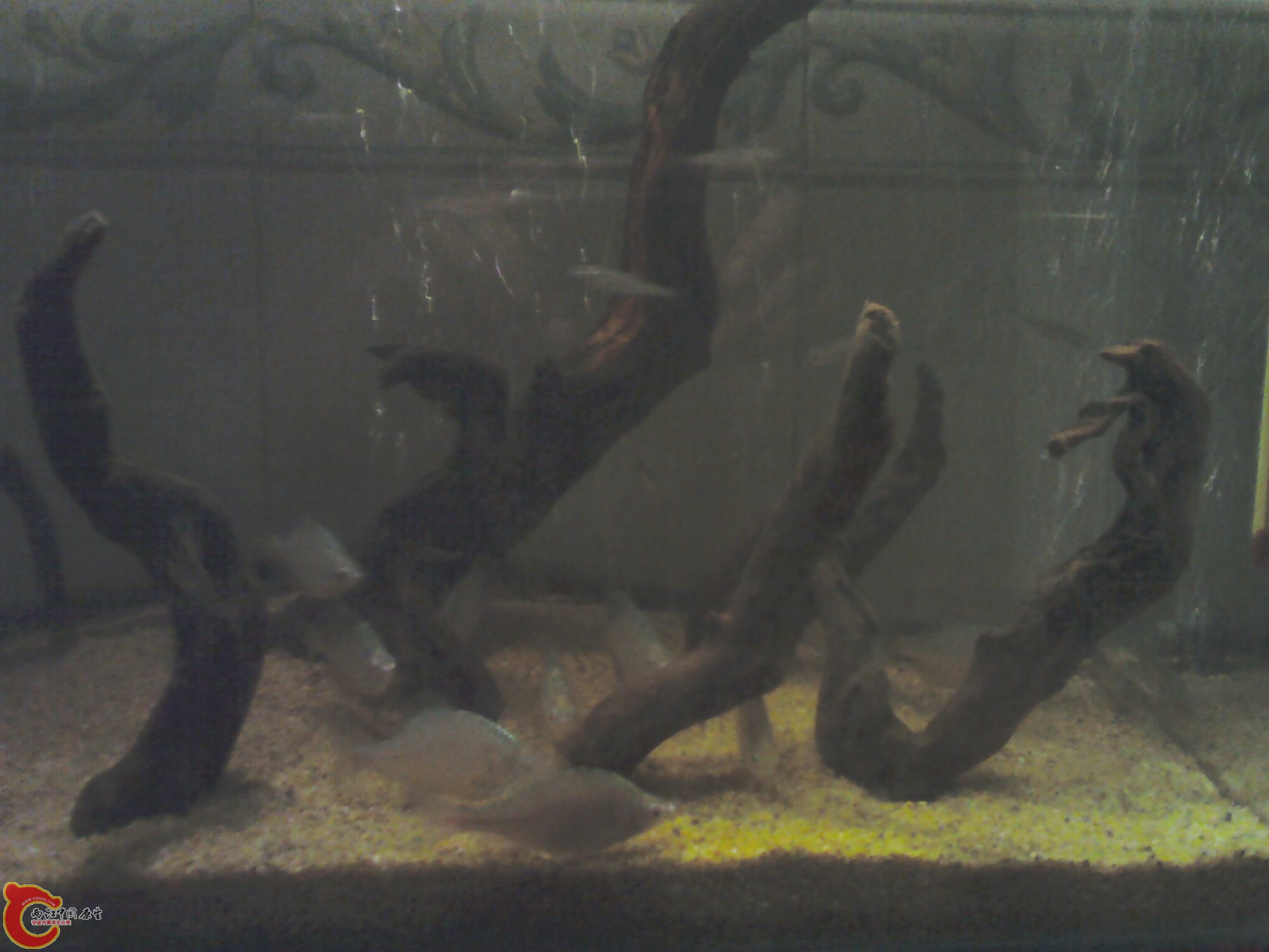 多发些吧，手机照的大家就将就看吧