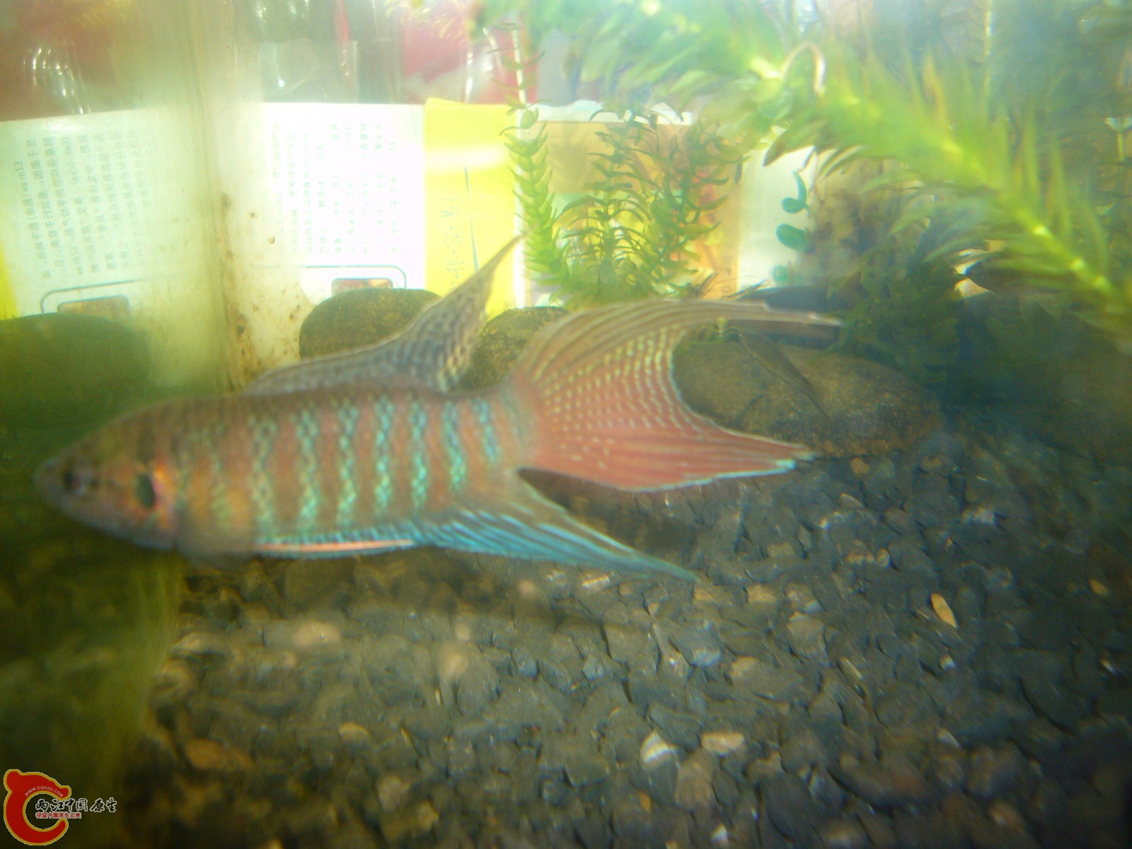 P1100313.JPG