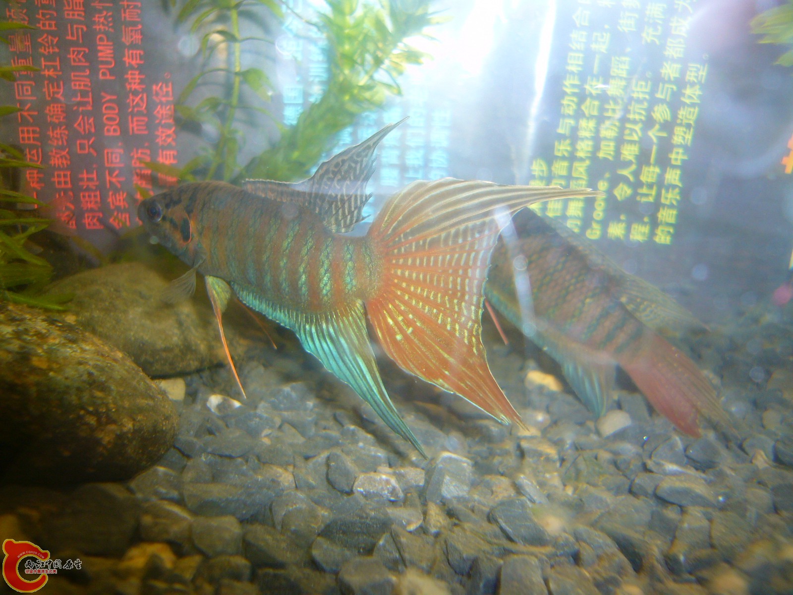 P1100330.JPG