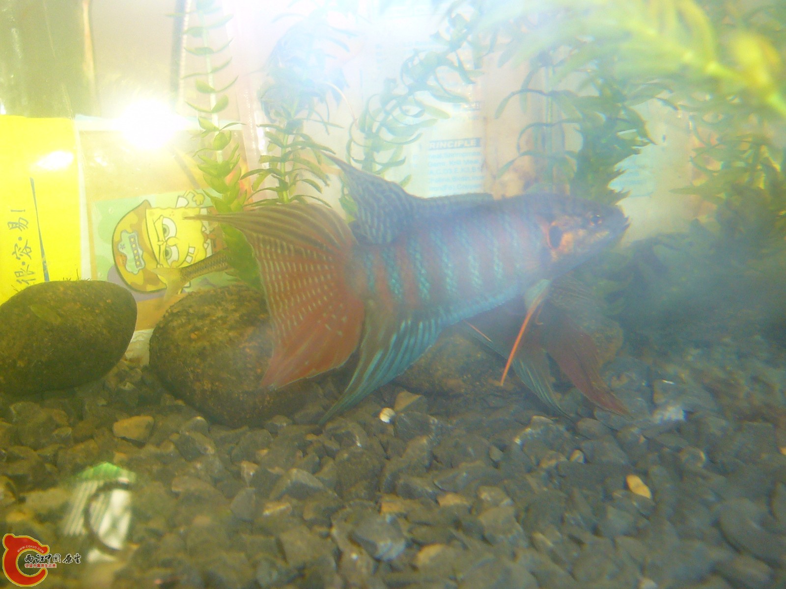 P1100334.JPG