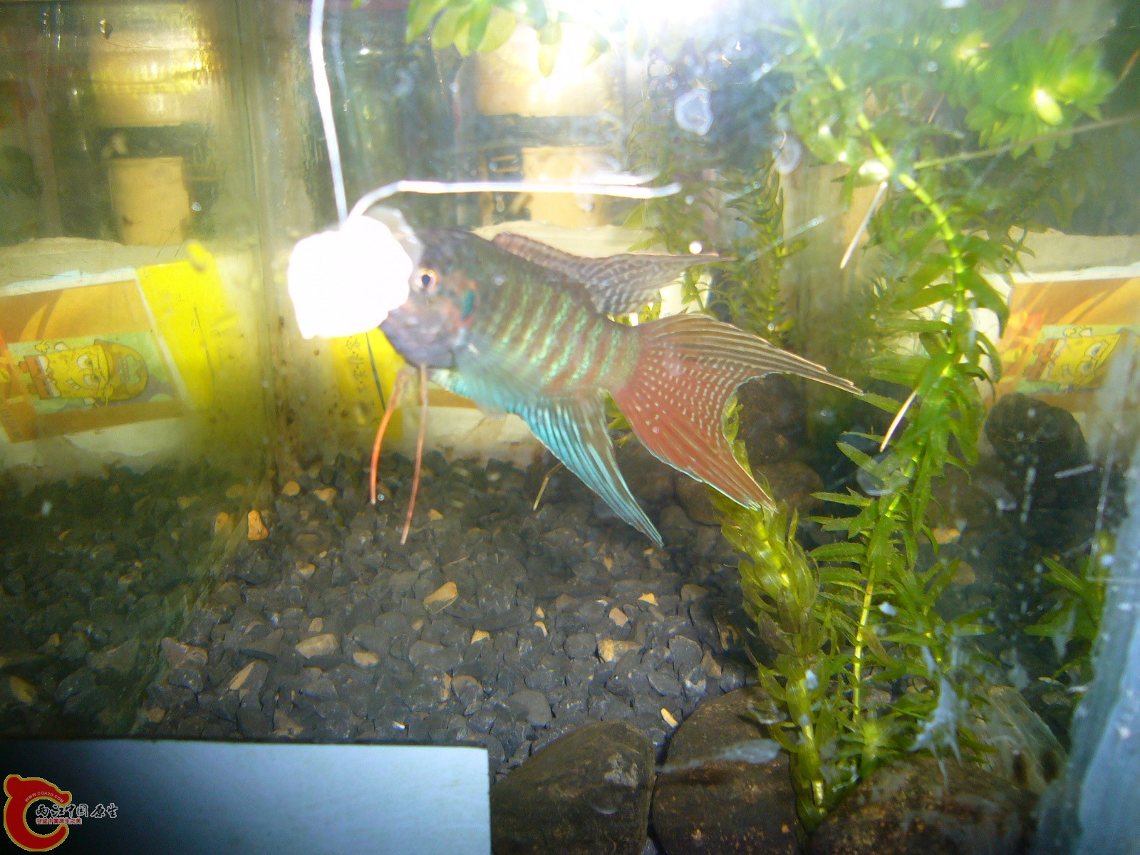 P1100387.JPG