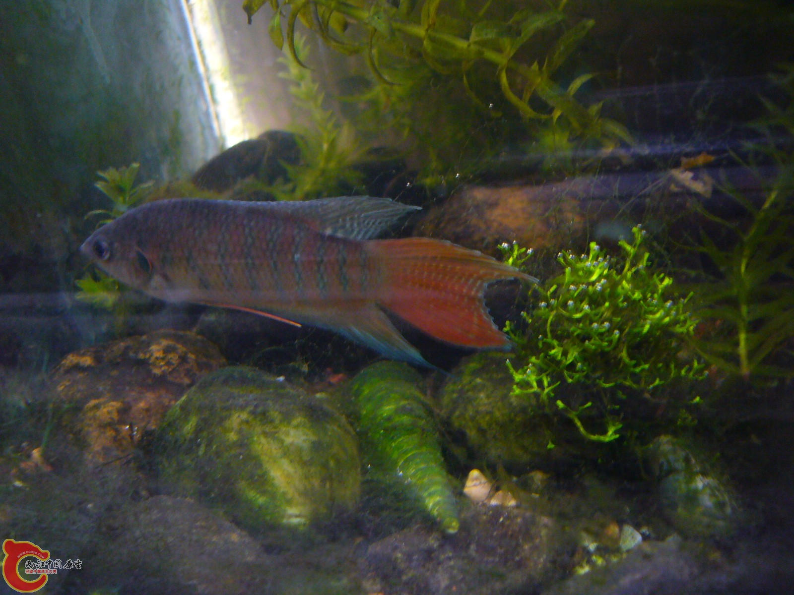 P1100388.JPG