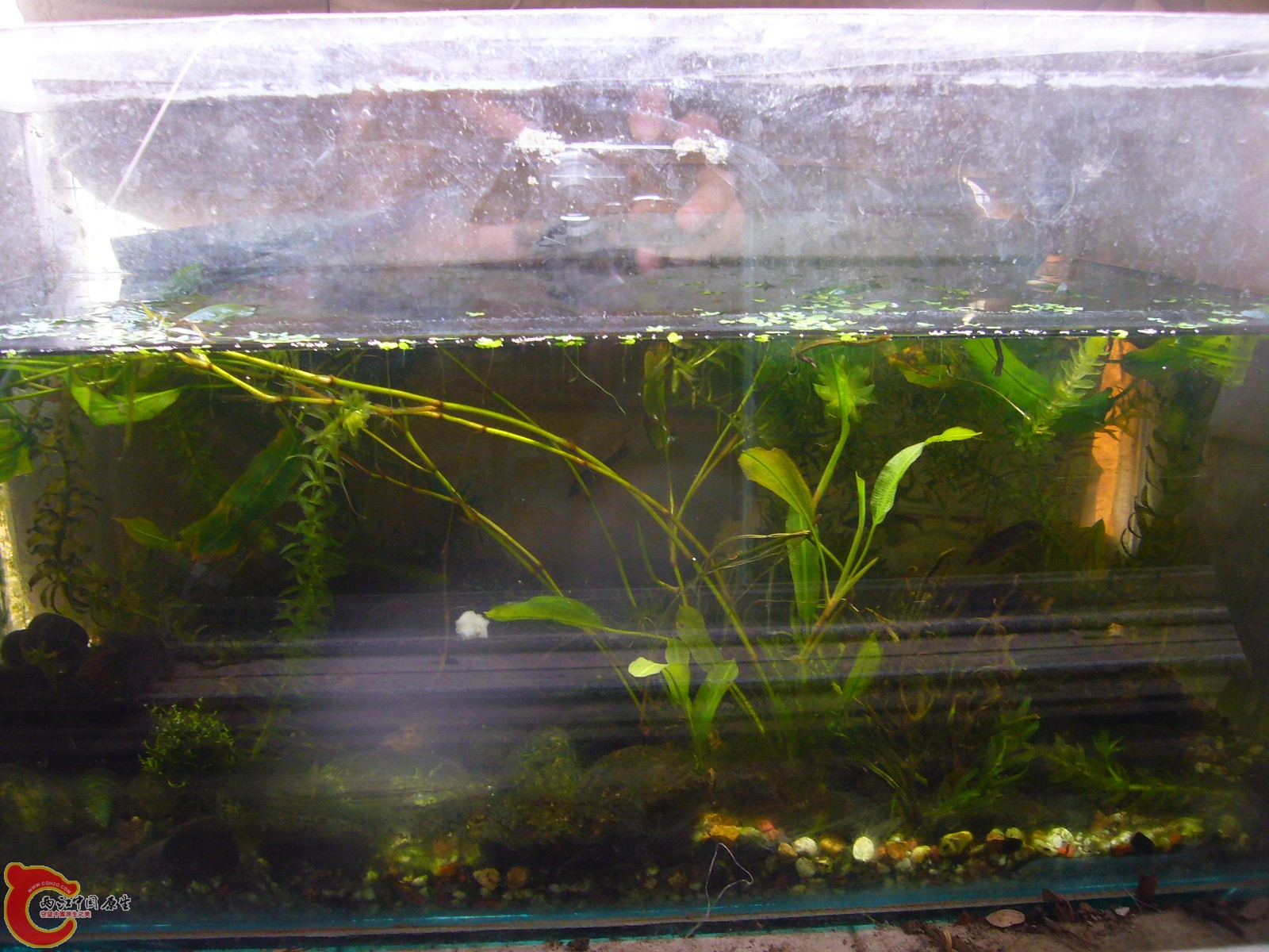P1100380.JPG
