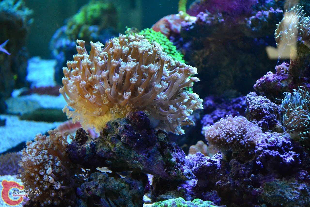 20120324_218.jpg