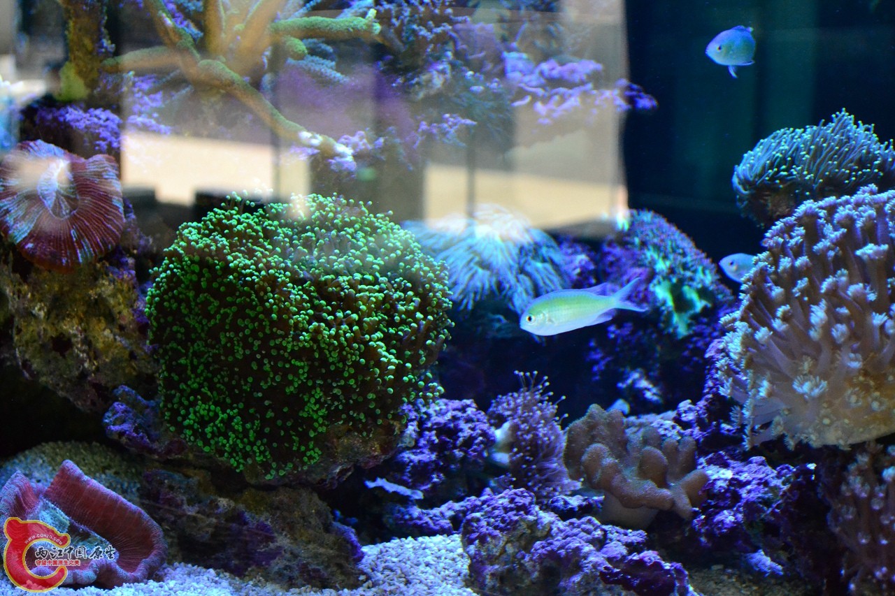20120324_220.jpg