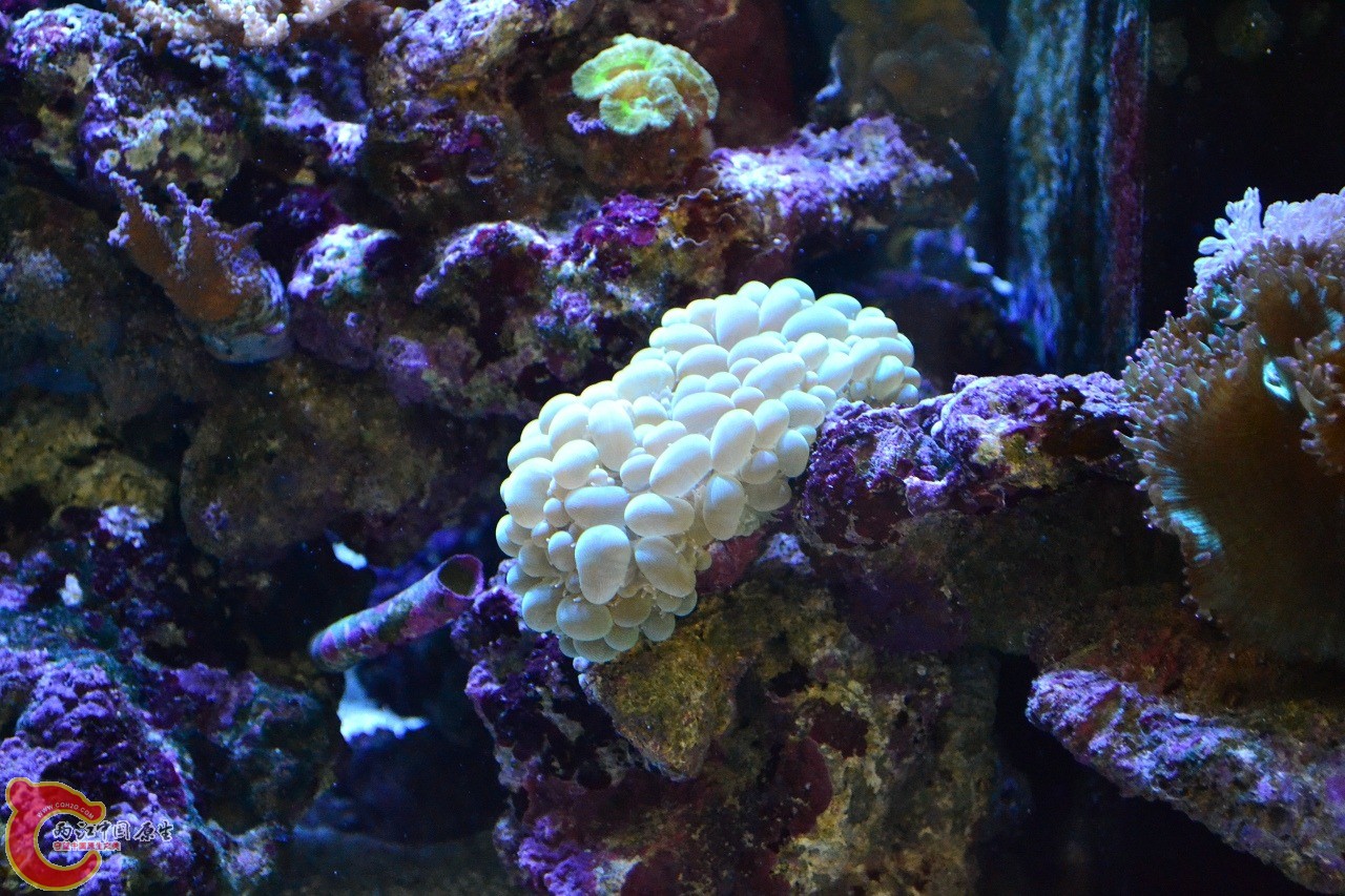 20120324_221.jpg