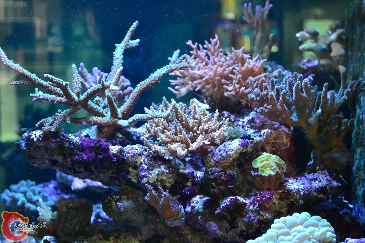20120324_222.jpg