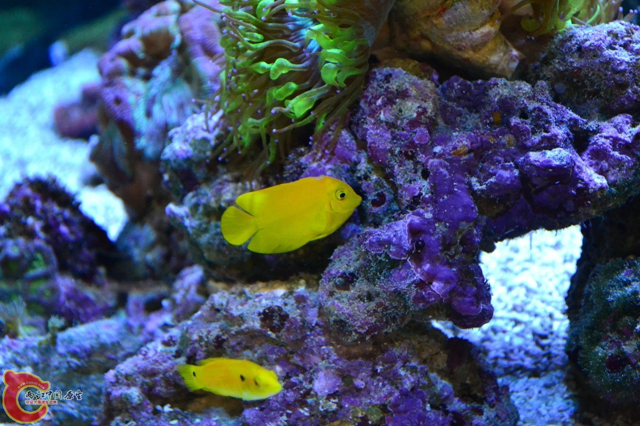 20120324_224.jpg