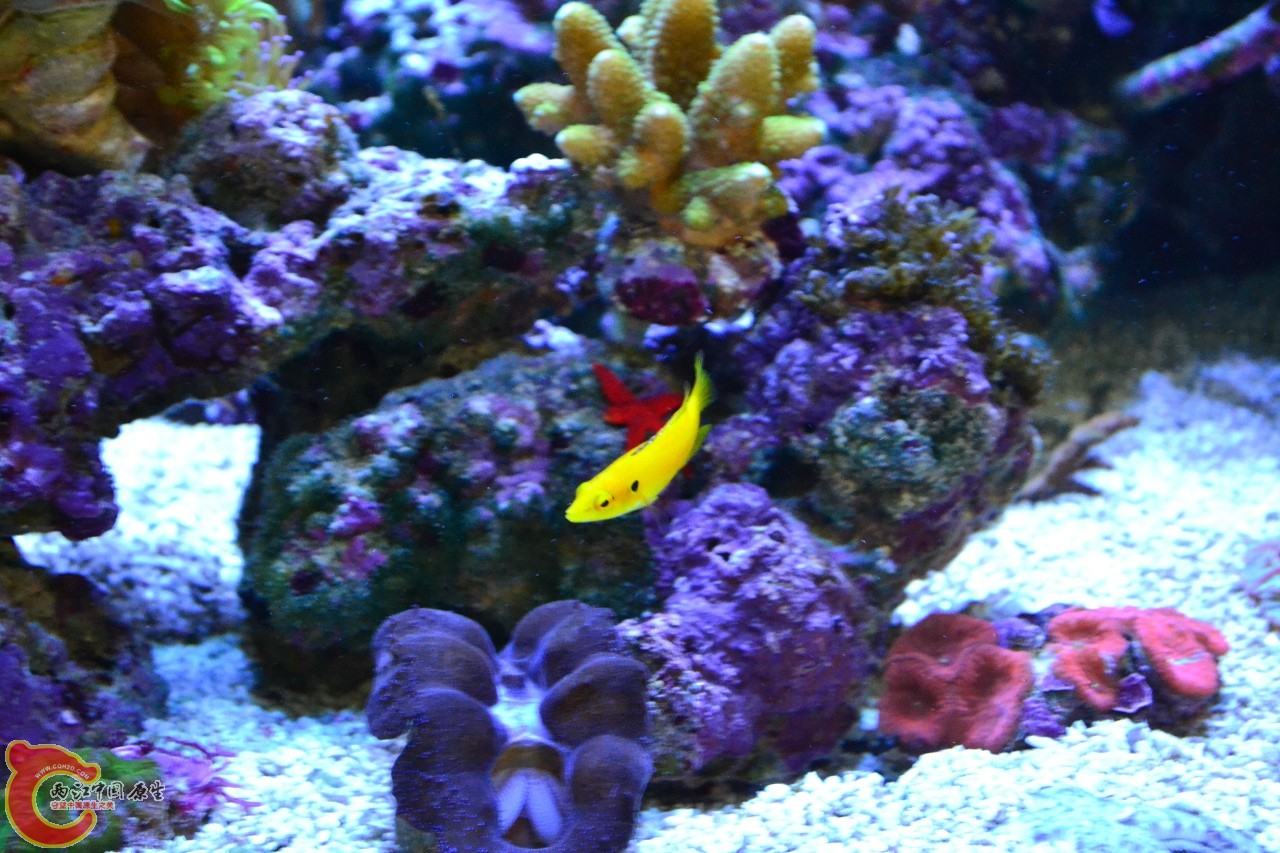 20120324_225.jpg