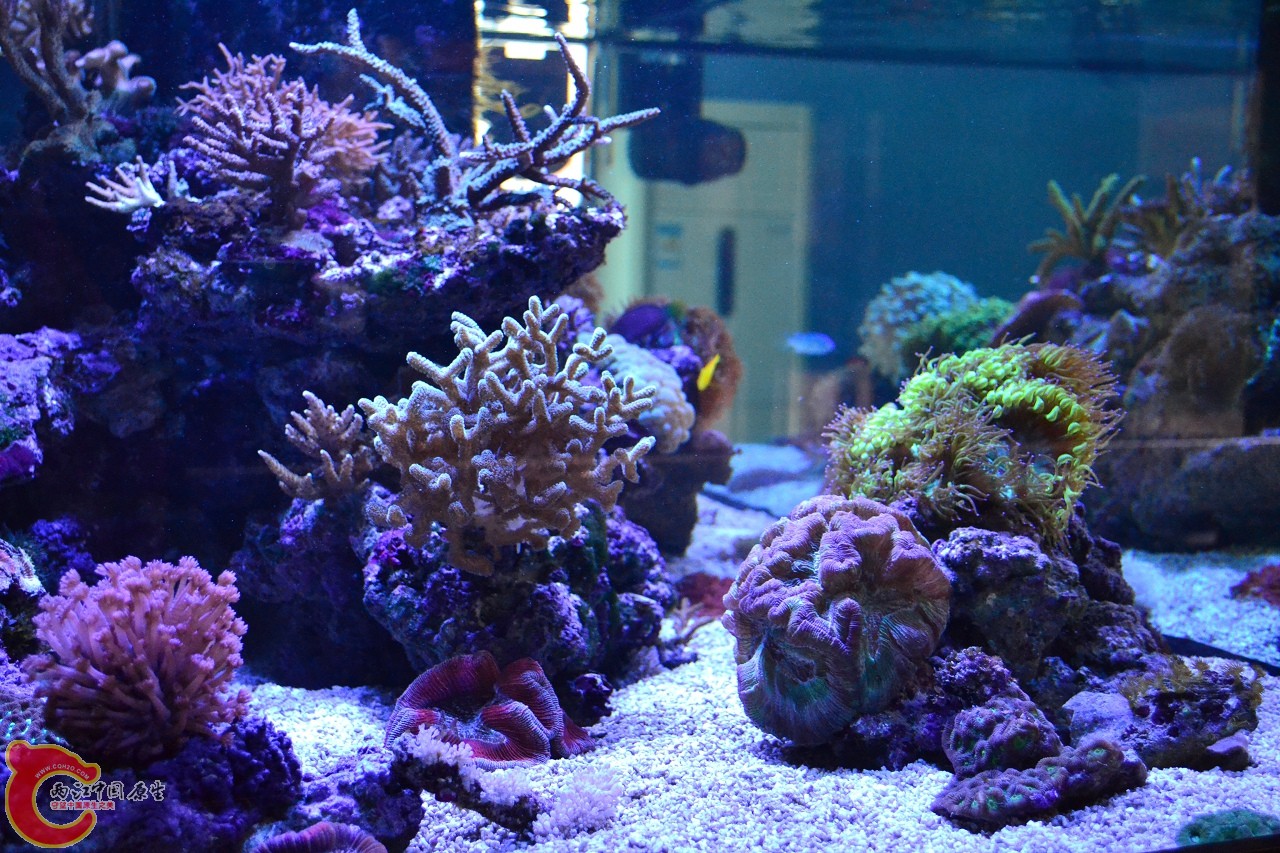 20120324_229.jpg