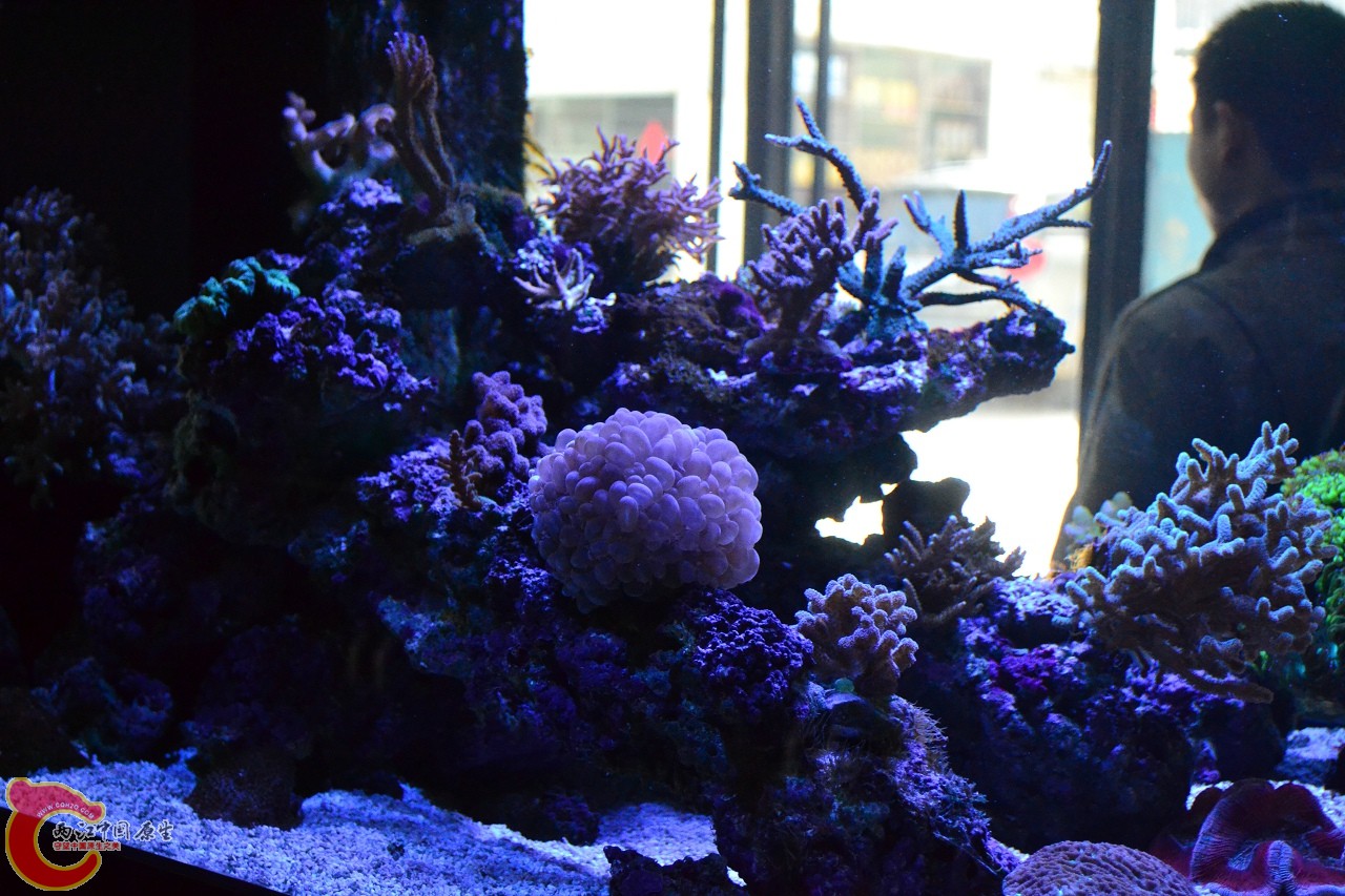 20120324_231.jpg