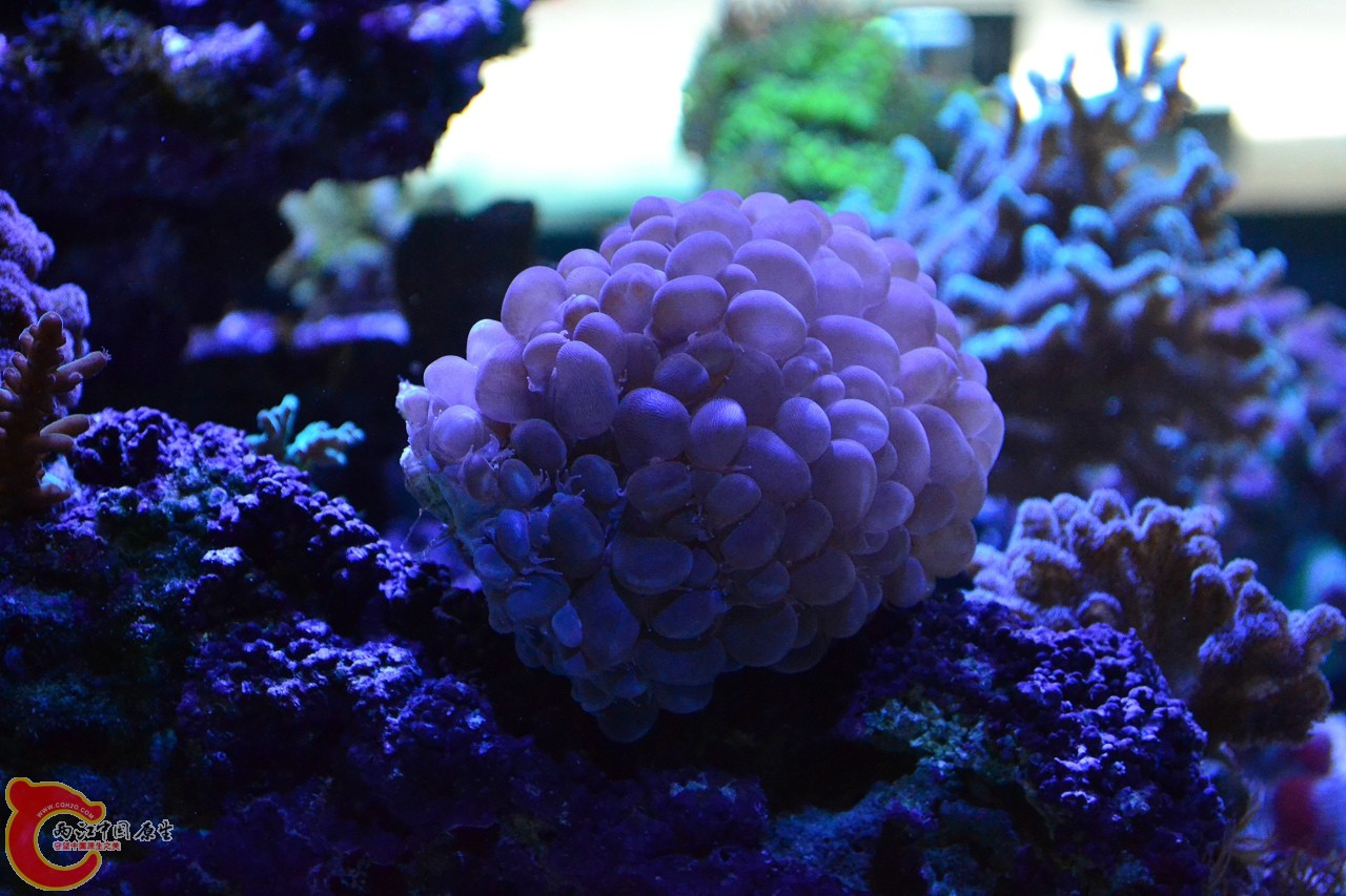 20120324_233.jpg