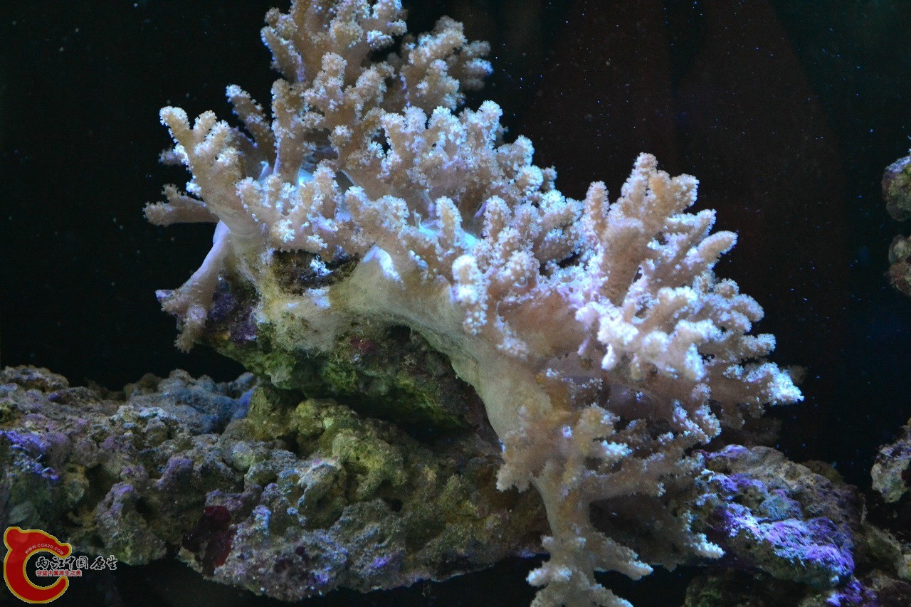 20120324_234.jpg