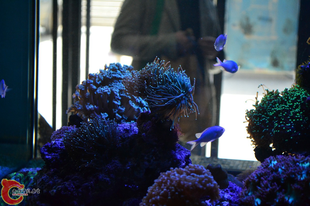 20120324_235.jpg
