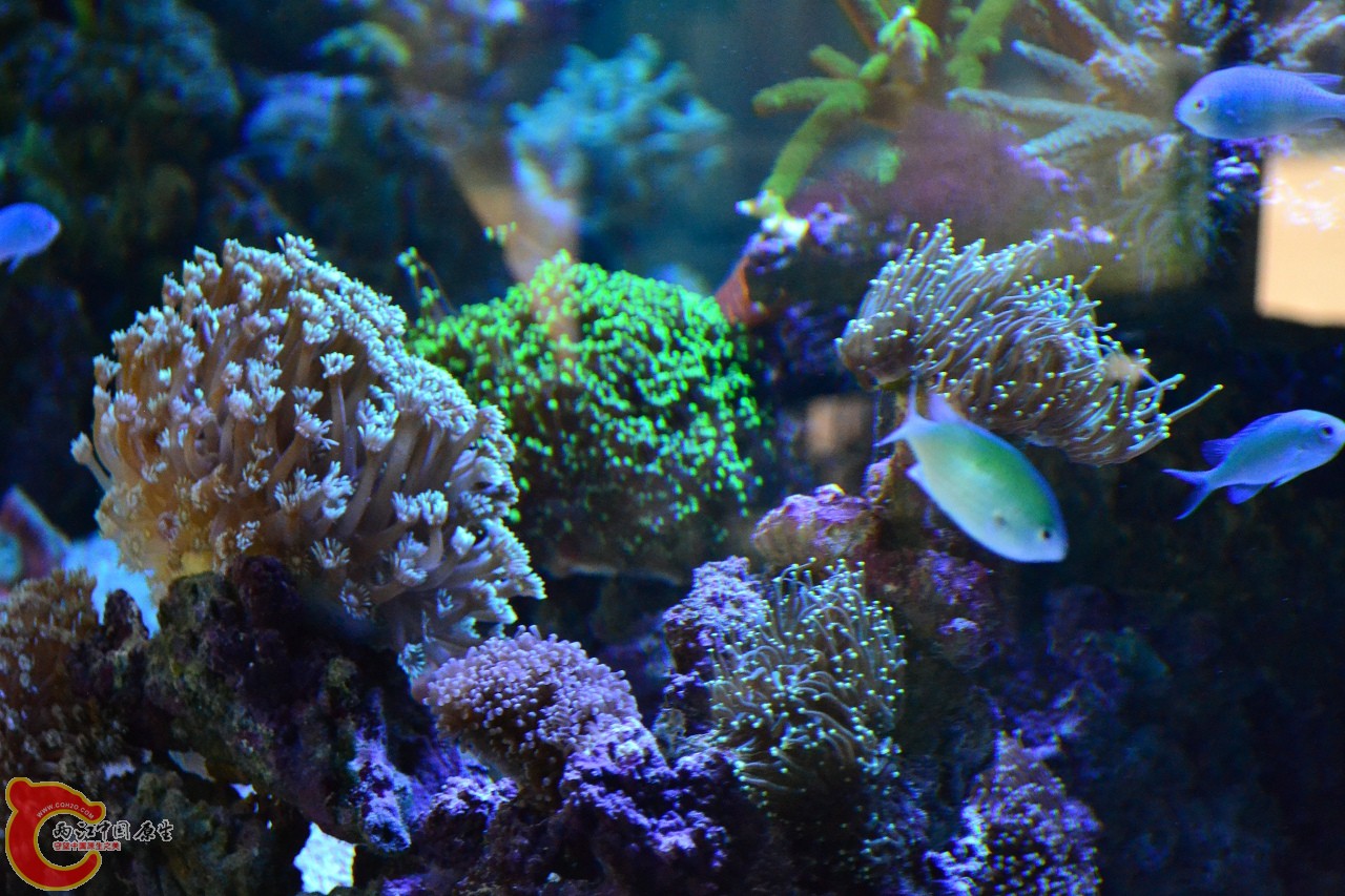 20120324_236.jpg