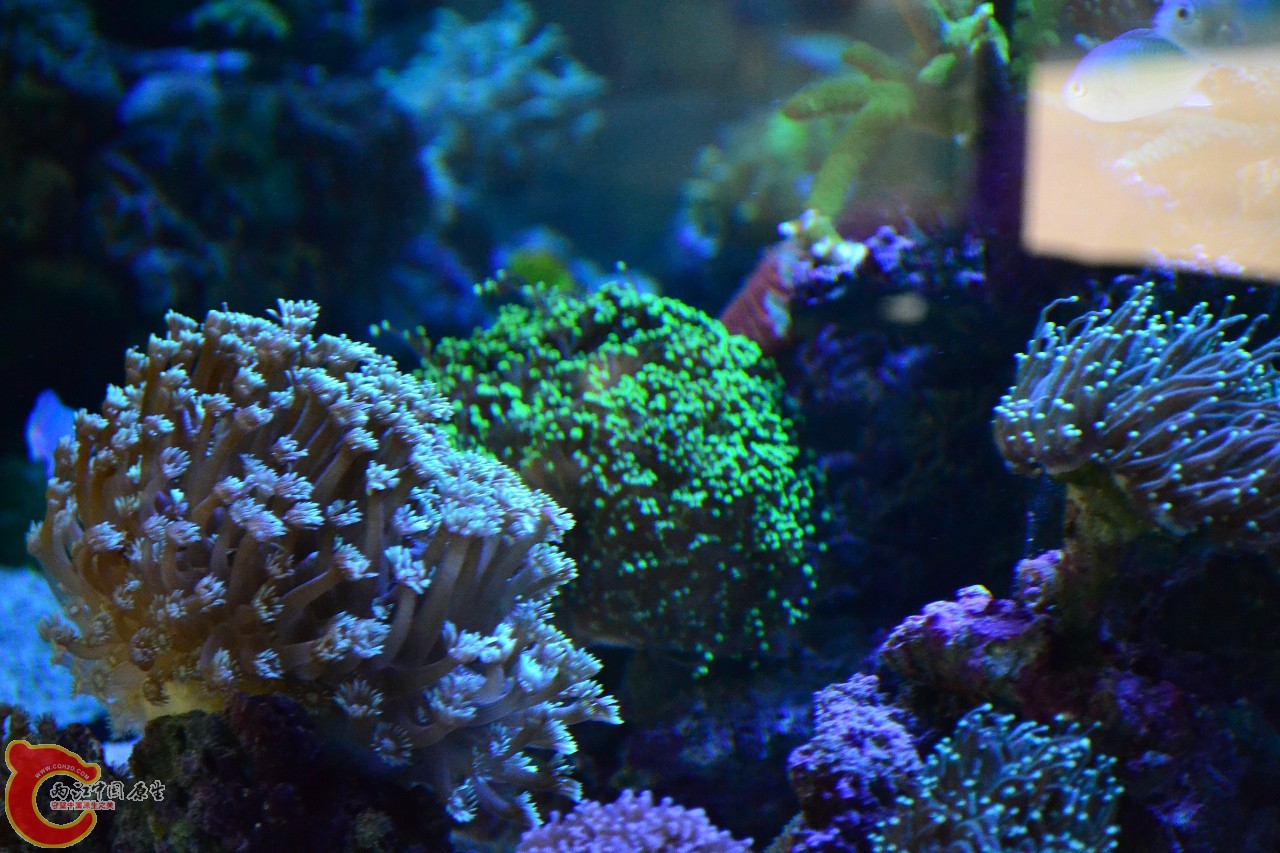 20120324_237.jpg
