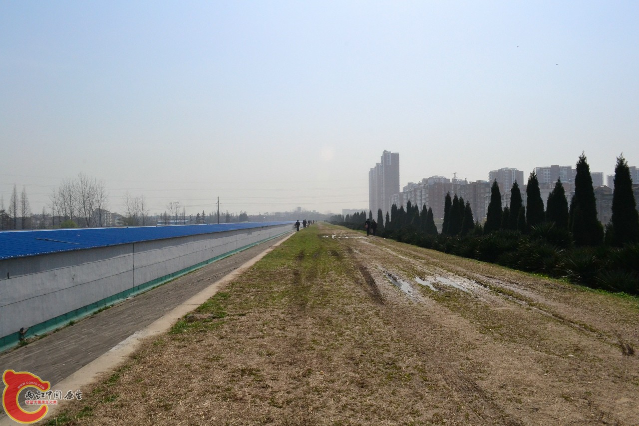 20120324_136.jpg