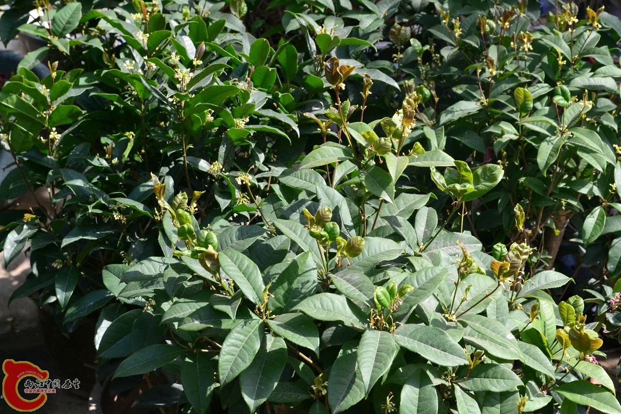 20120324_144.jpg