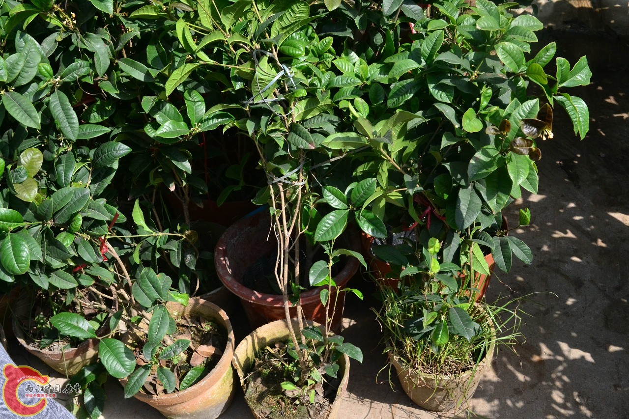 20120324_145.jpg