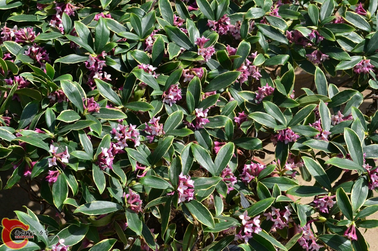 20120324_146.jpg
