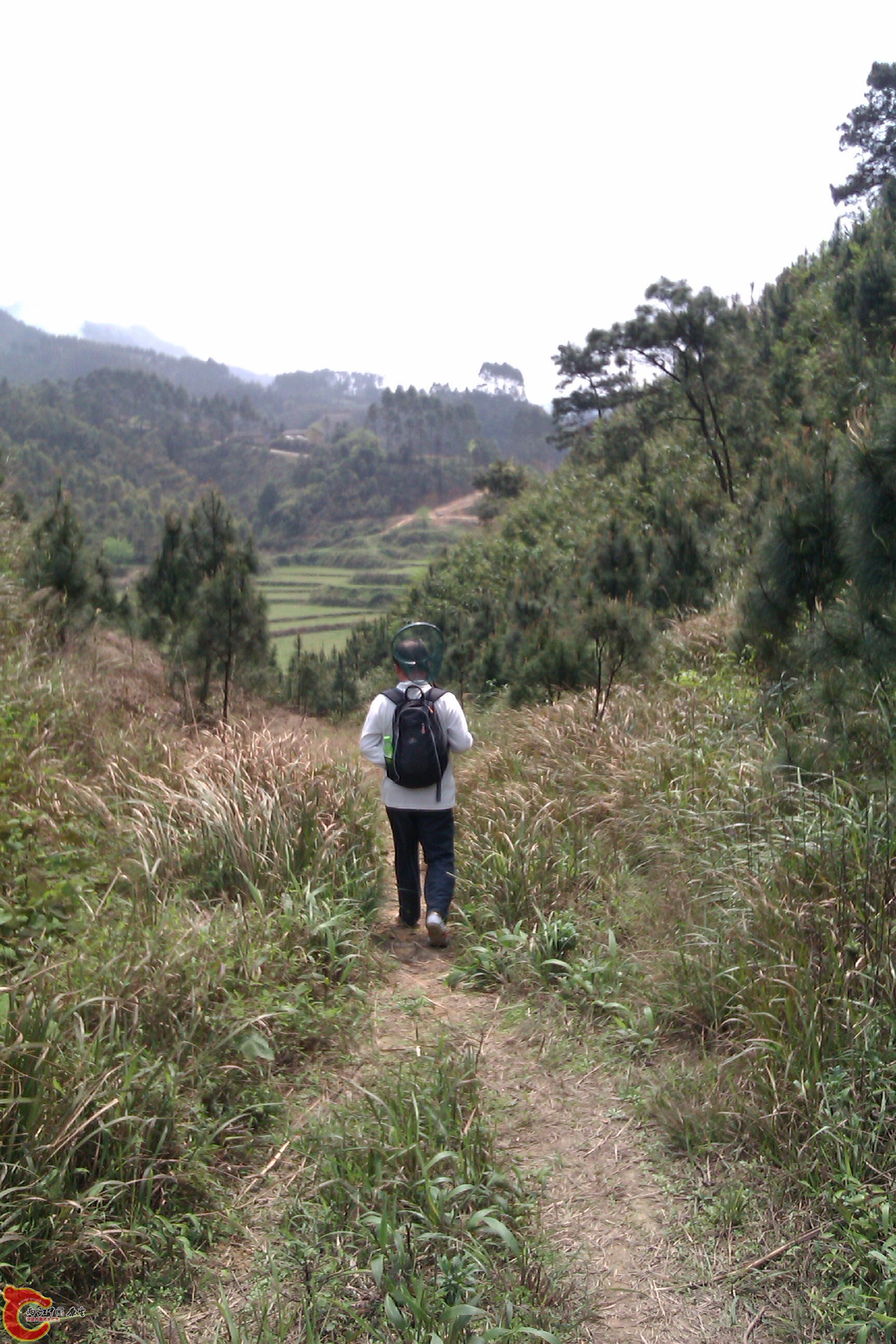 IMAG0272.jpg