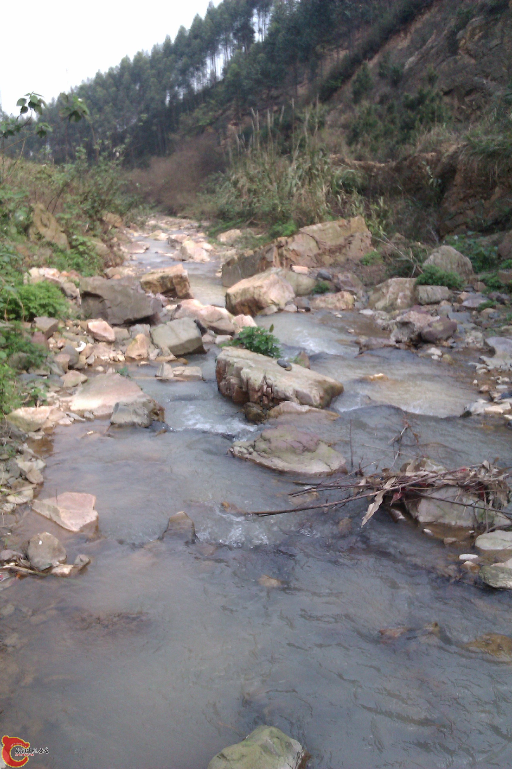 IMAG0256.jpg