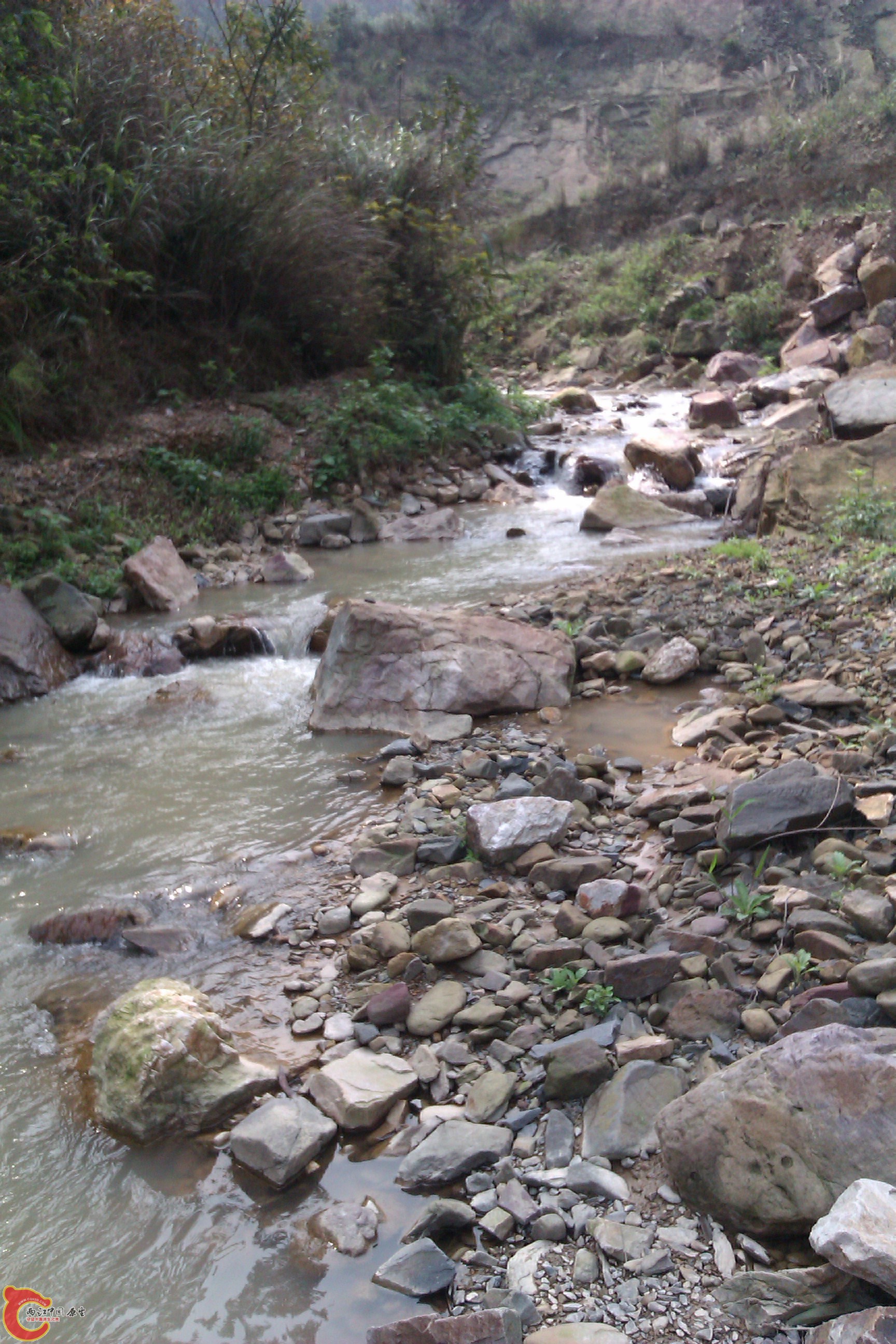 IMAG0257.jpg