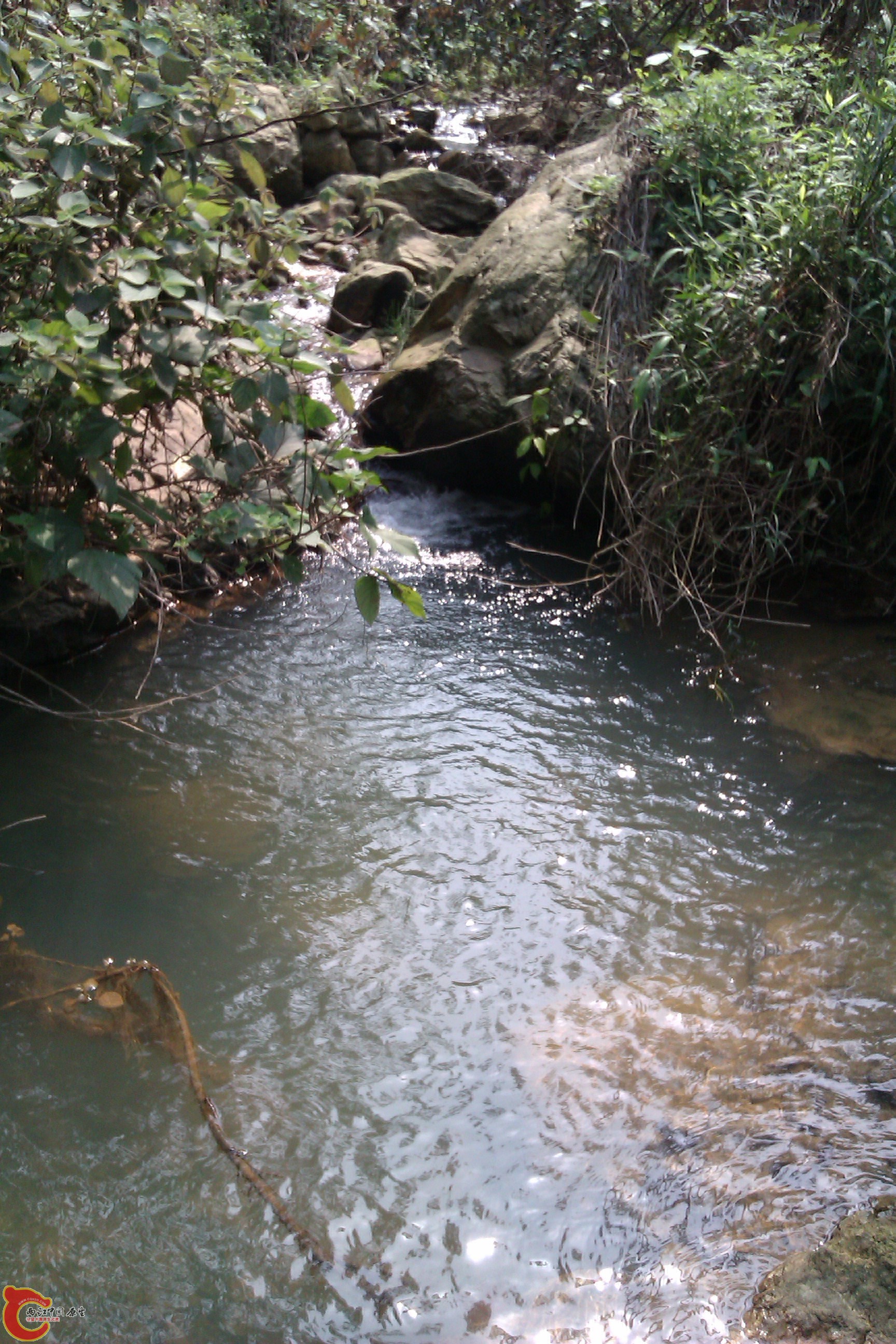 IMAG0258.jpg