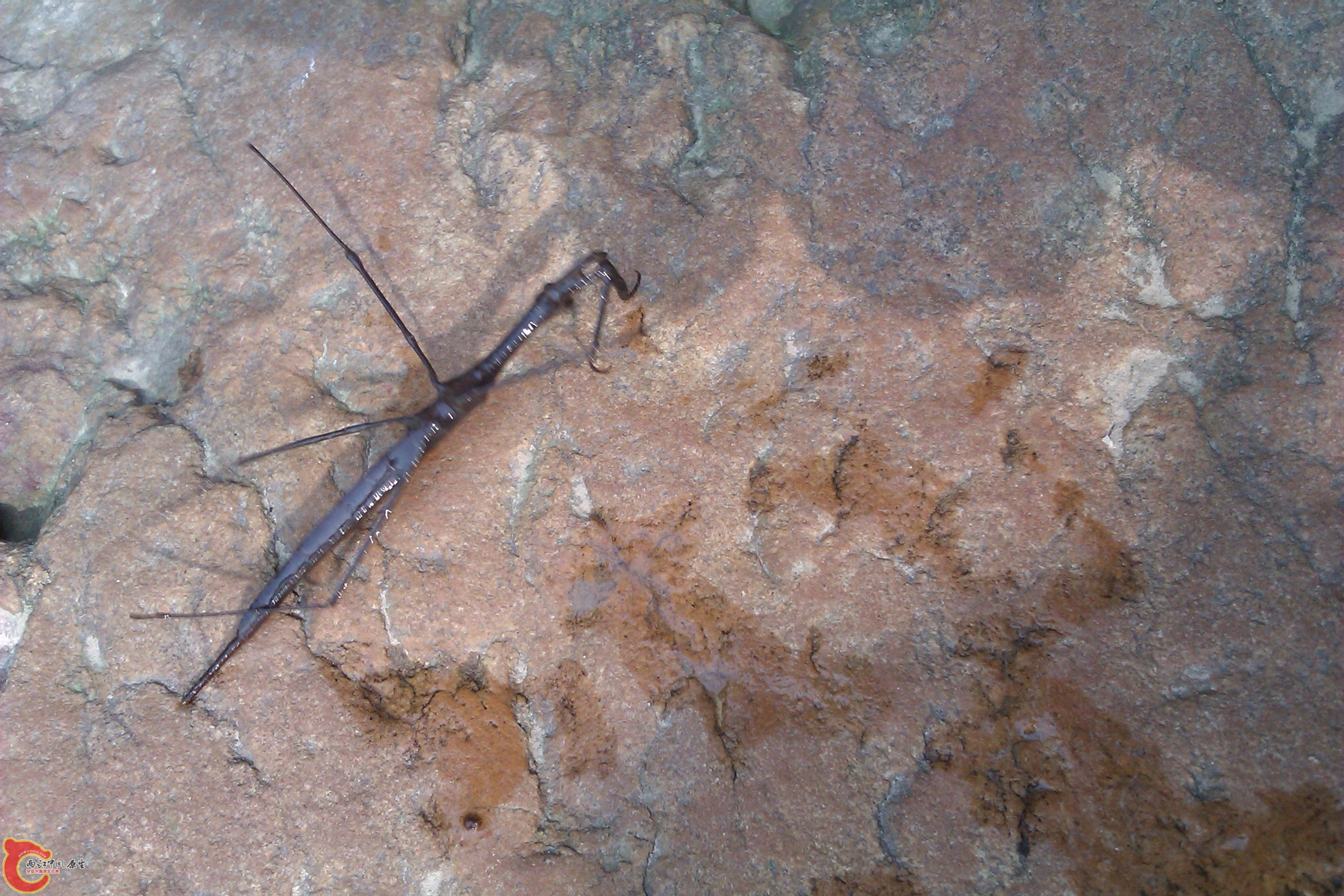 IMAG0260.jpg