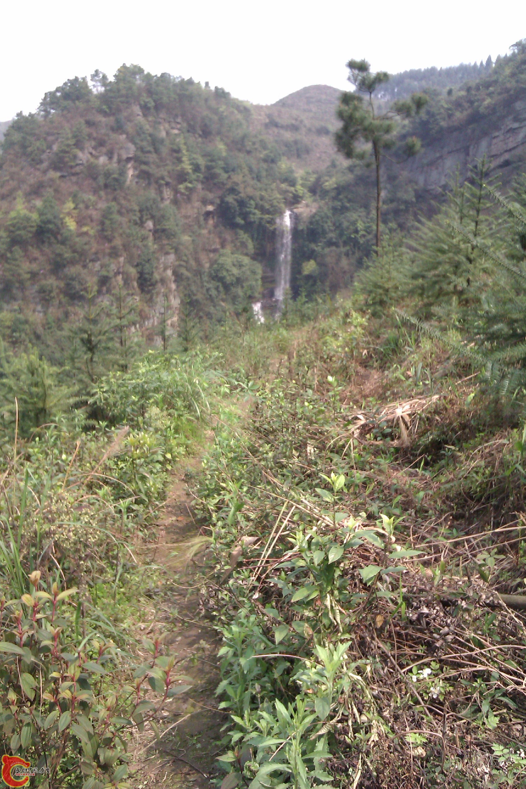IMAG0261.jpg
