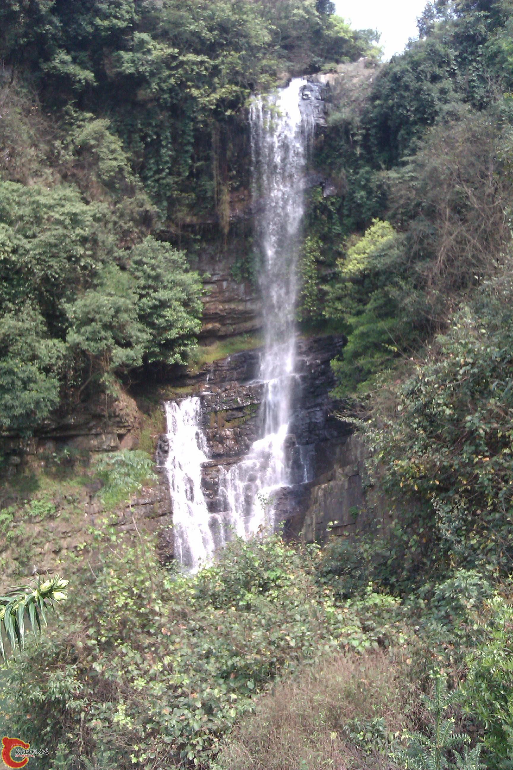 IMAG0264.jpg