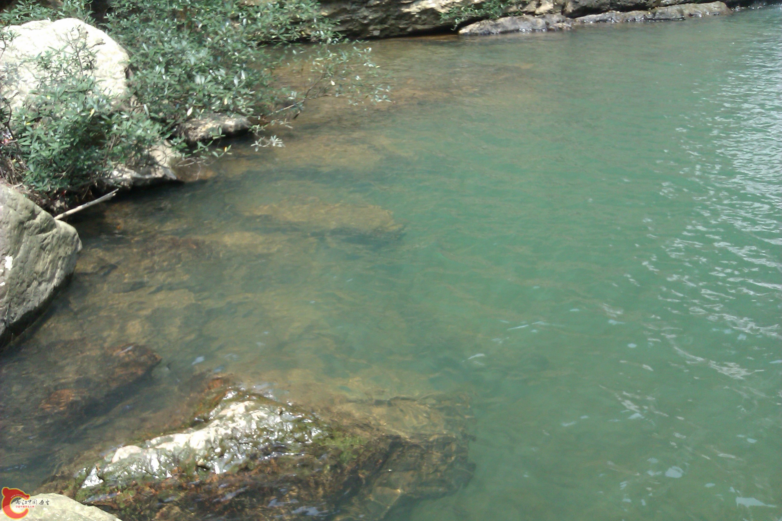 IMAG0268.jpg