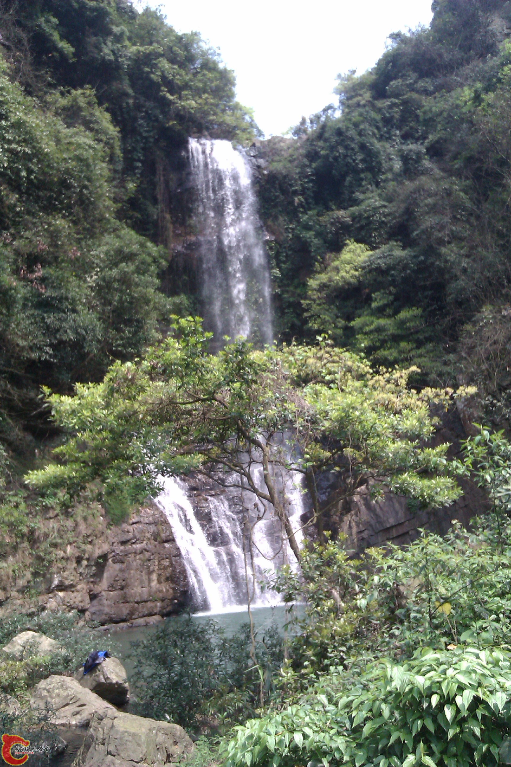 IMAG0270.jpg