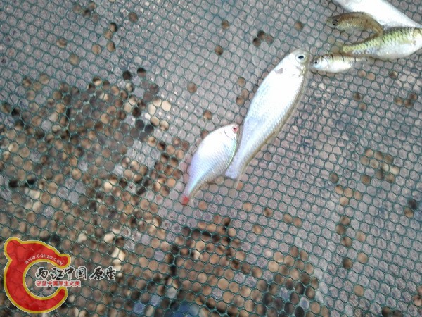 2012-03-18 17.53.53_调整大小.jpg