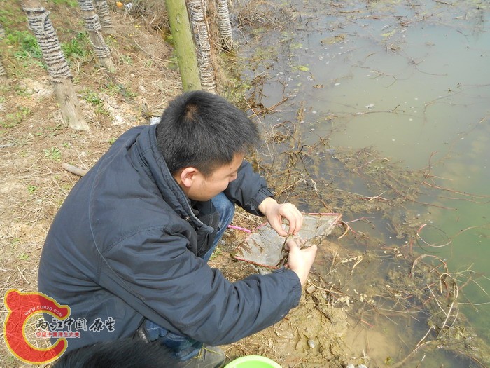 野采 04.jpg
