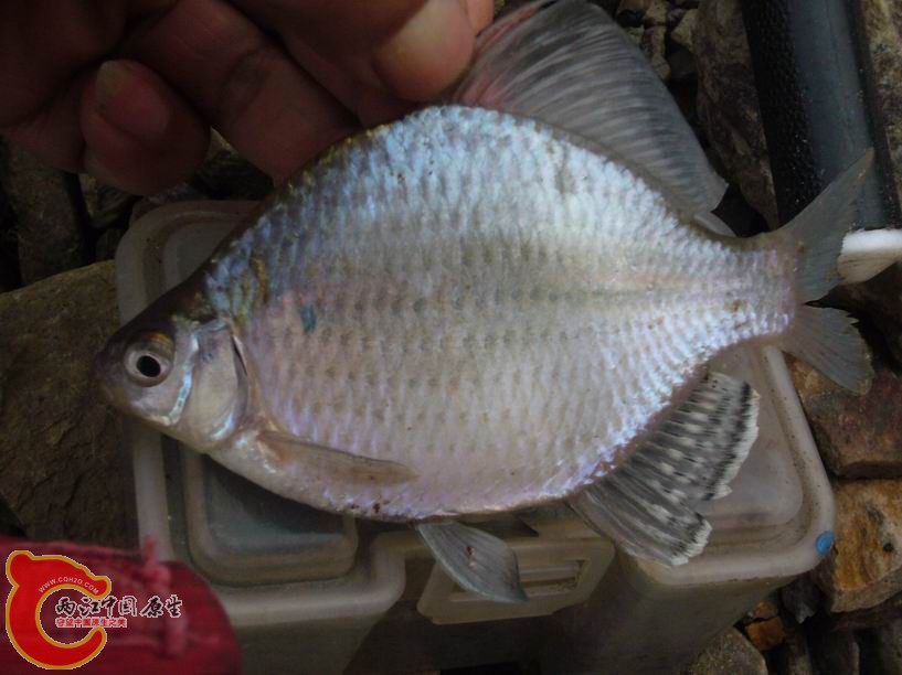 调整大小 P1020835.JPG