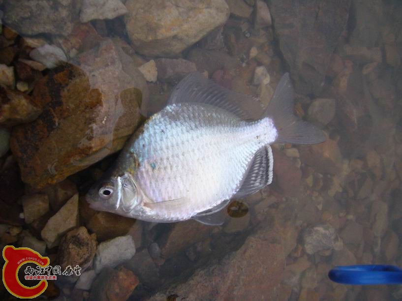 调整大小 P1020841_2.JPG