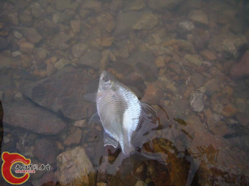 调整大小 P1020842.JPG