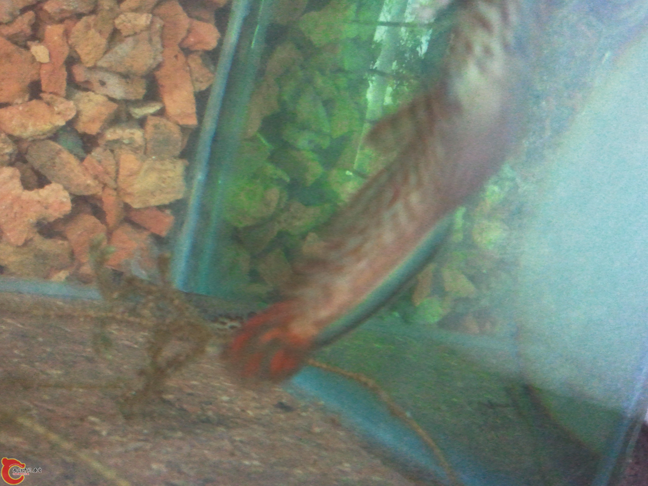 2012-03-27 09.13.41.jpg