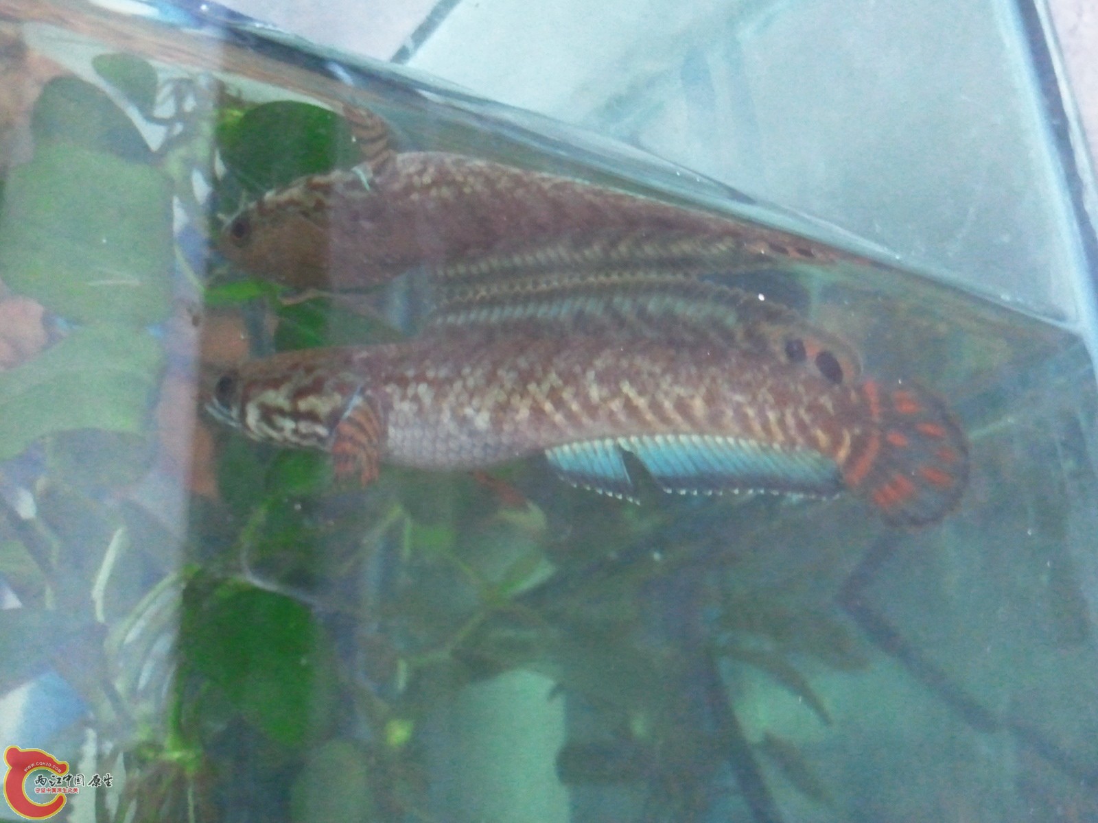 2012-03-06 15.49.43.jpg