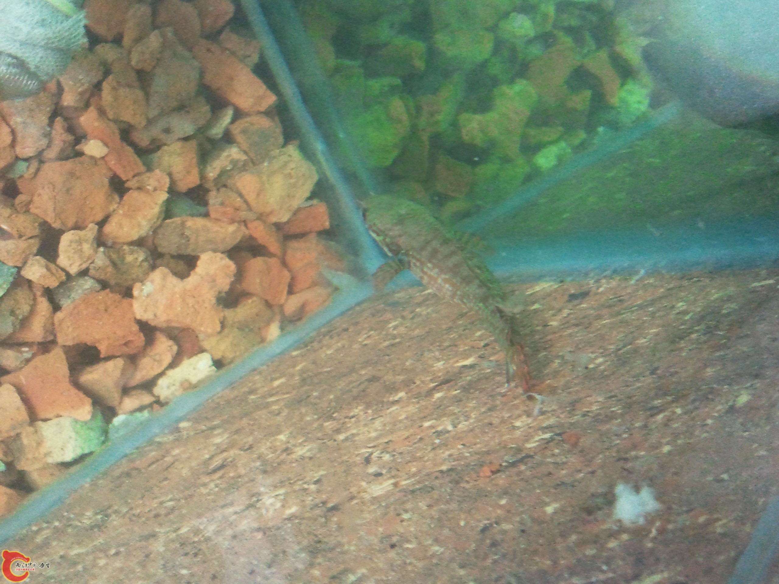 2012-03-20 12.27.25.jpg