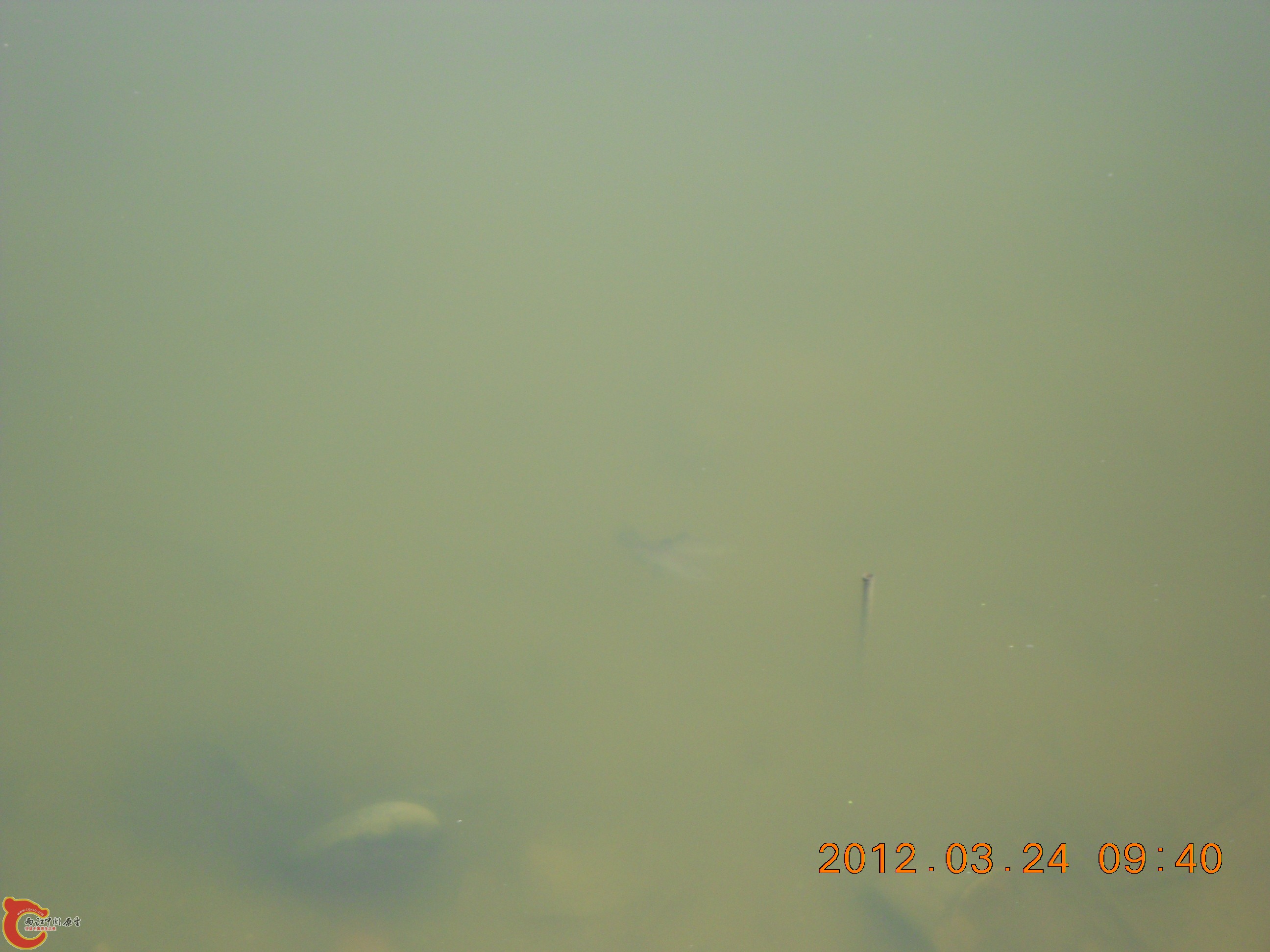 DSCN2901.JPG