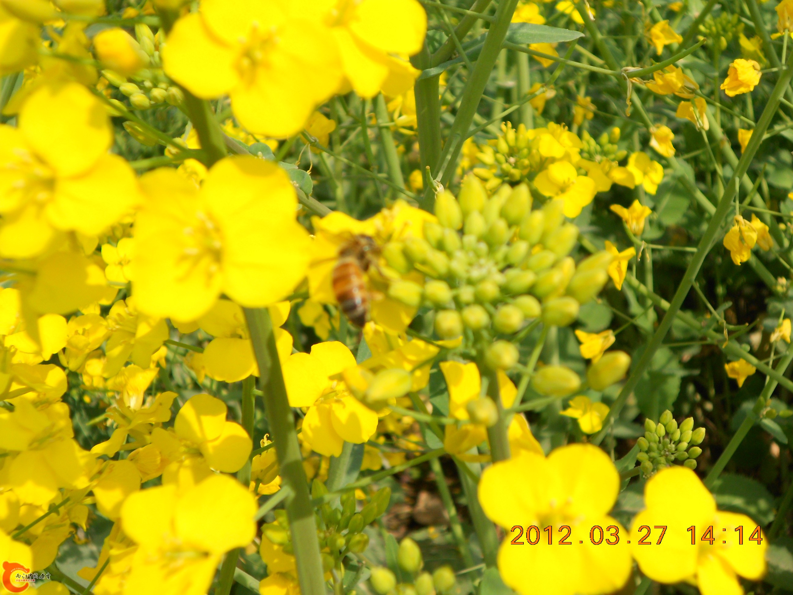 DSCN2933.JPG