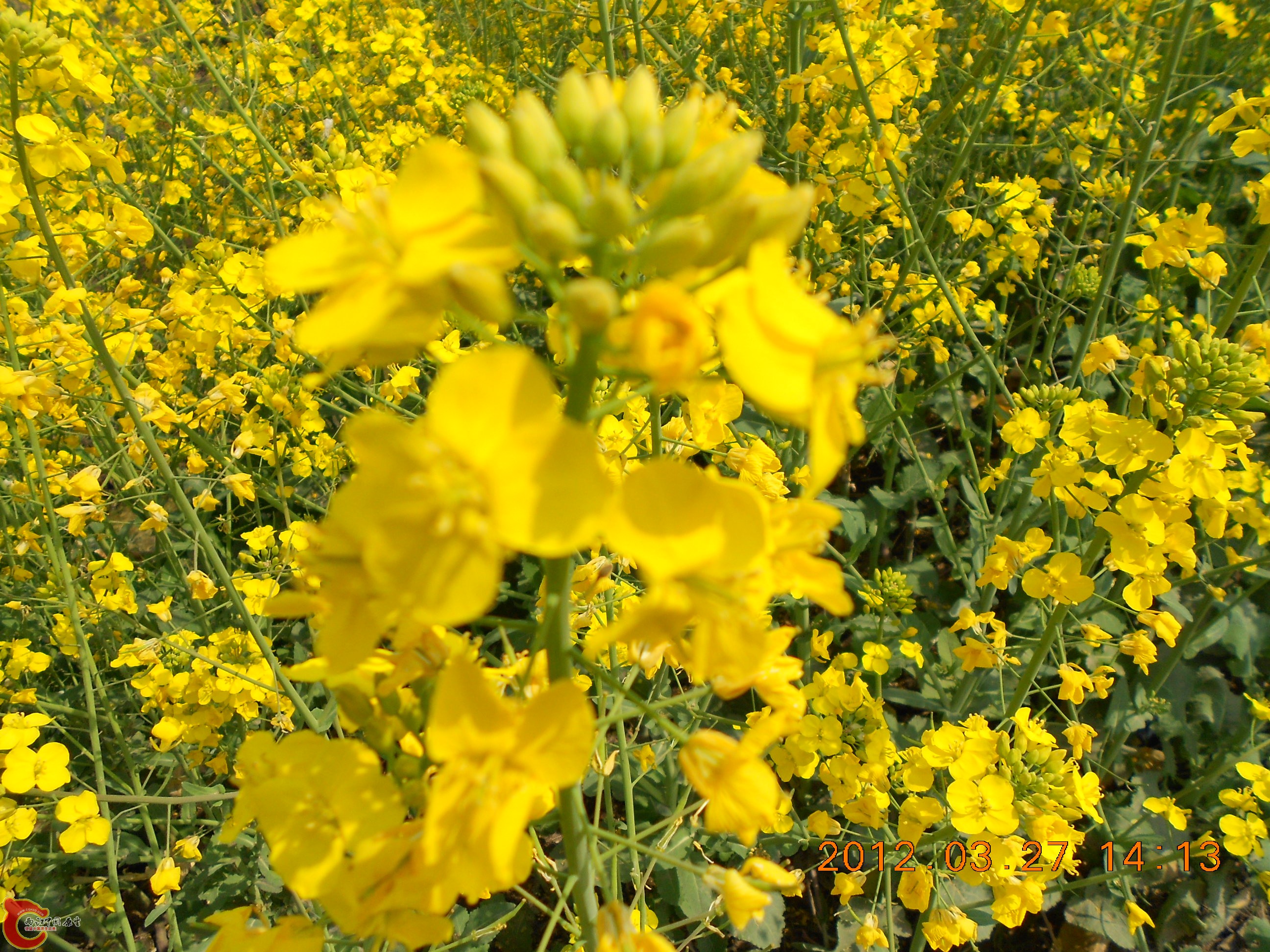 DSCN2930.JPG